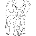 Baby_Elephant_Coloring_Pages_021.jpg