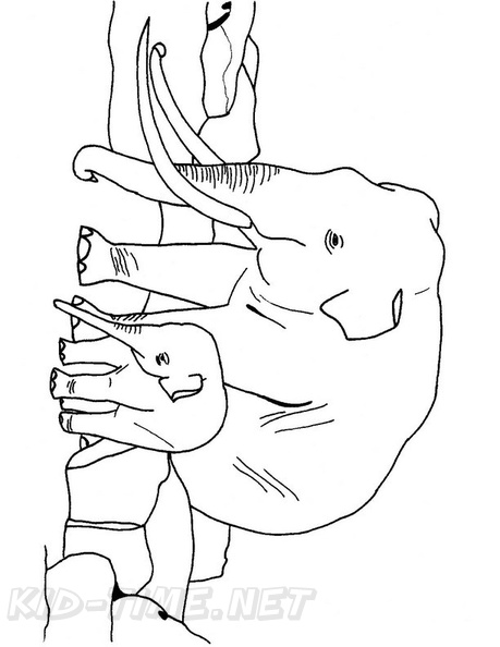 Baby_Elephant_Coloring_Pages_022.jpg