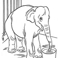 Baby_Elephant_Coloring_Pages_044.jpg
