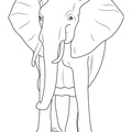 Elephant_Coloring_Pages_026.jpg