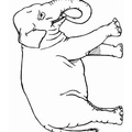 Elephant_Coloring_Pages_032.jpg
