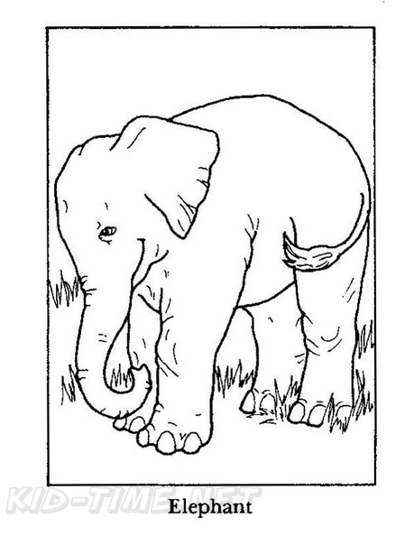Elephant_Coloring_Pages_044.jpg