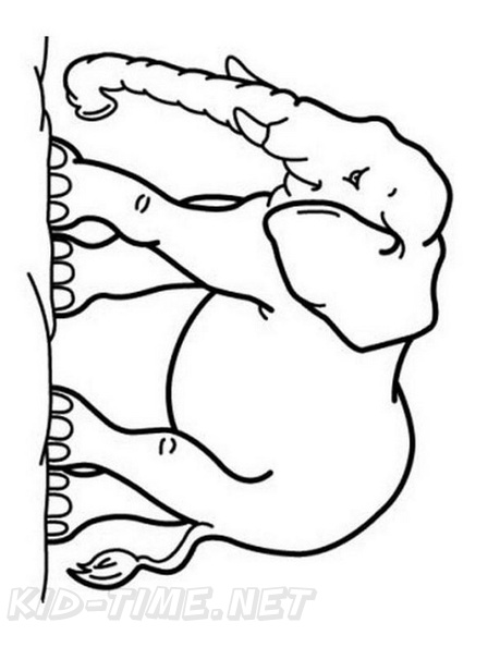 Elephant_Coloring_Pages_086.jpg