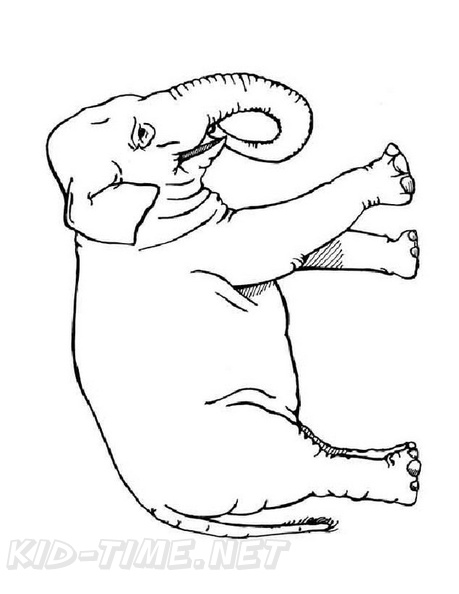 Elephant_Coloring_Pages_173.jpg