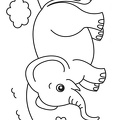 Elephant_Coloring_Pages_181.jpg