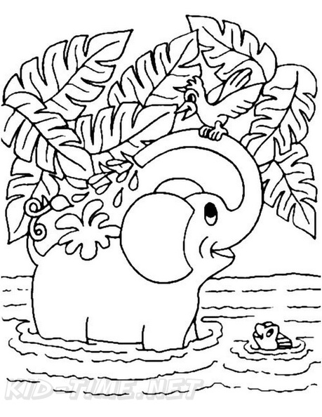 Elephant_Coloring_Pages_262.jpg