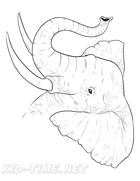 Realistic_Elephant_Coloring_Pages_001.jpg