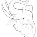Realistic_Elephant_Coloring_Pages_001.jpg
