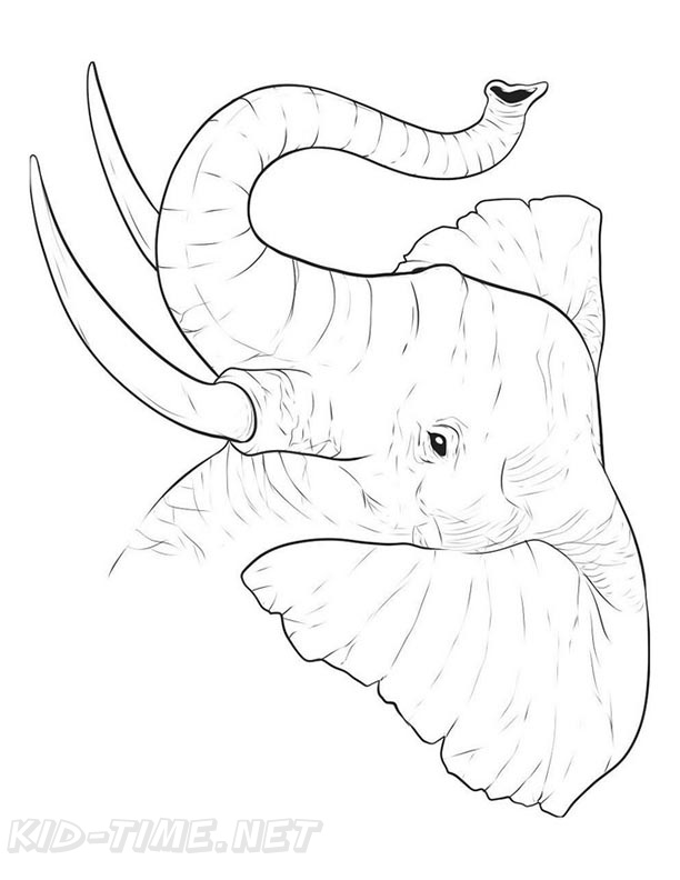 86 Realistic Elephant Coloring Pages Printable | KIDS COLORING
