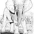 Realistic Elephant Coloring Book Page
