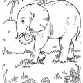 Realistic_Elephant_Coloring_Pages_017.jpg