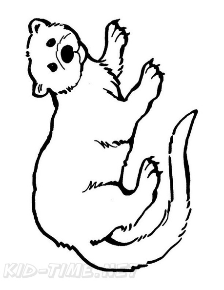 Ferret_Coloring_Pages_001.jpg
