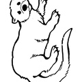 Ferret Coloring Book Page