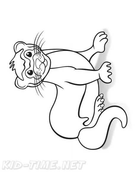 √ Ferret Coloring Pages : Ferret Sitting In Swimming Tube Download Free