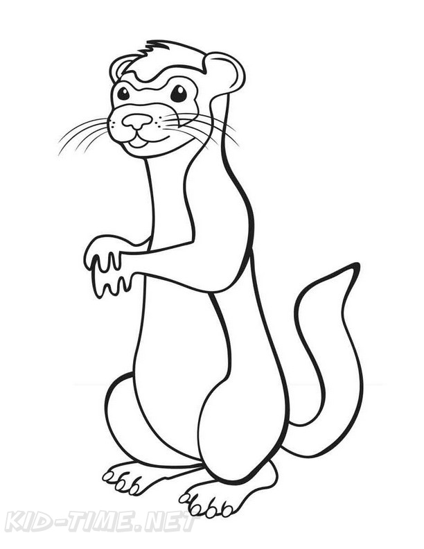Ferret Coloring Book Page