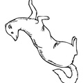 Ferret Coloring Book Page