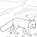 Fox_Coloring_Pages_011.jpg