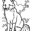 Fox_Coloring_Pages_012.jpg