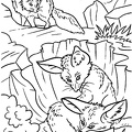Fox_Coloring_Pages_021.jpg