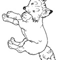 Fox_Coloring_Pages_061.jpg