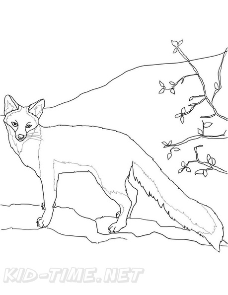 Fox_Coloring_Pages_082.jpg