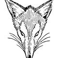 Fox_Coloring_Pages_084.jpg