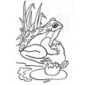 Frogs_Coloring_Pages_073.jpg