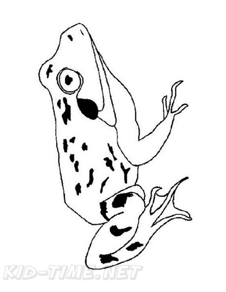 Frogs_Coloring_Pages_169.jpg