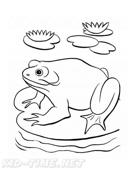 Frogs_Coloring_Pages_212.jpg