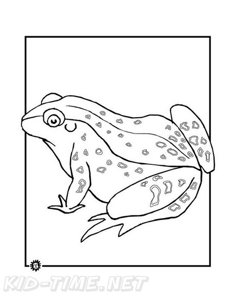 Frogs_Coloring_Pages_213.jpg