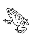 Frog Coloring Book Page