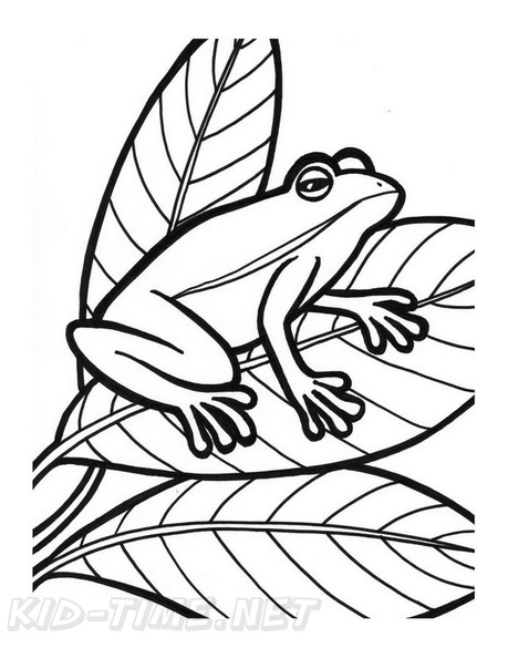 Frogs_Coloring_Pages_278.jpg