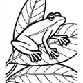 Frogs_Coloring_Pages_278.jpg