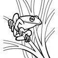 Frogs_Coloring_Pages_312.jpg