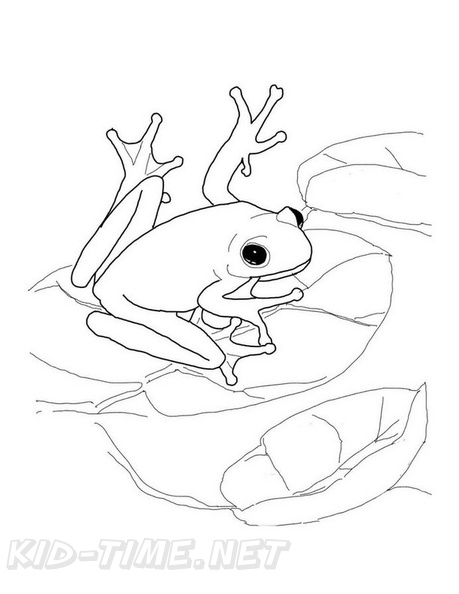 Realistic_Frog_Coloring_Pages_006.jpg