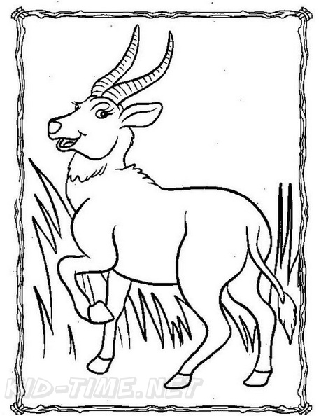Gazelle Coloring Book Page