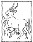 Gazelle Coloring Book Page