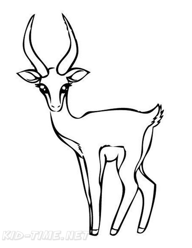 Gazelle Coloring Book Page