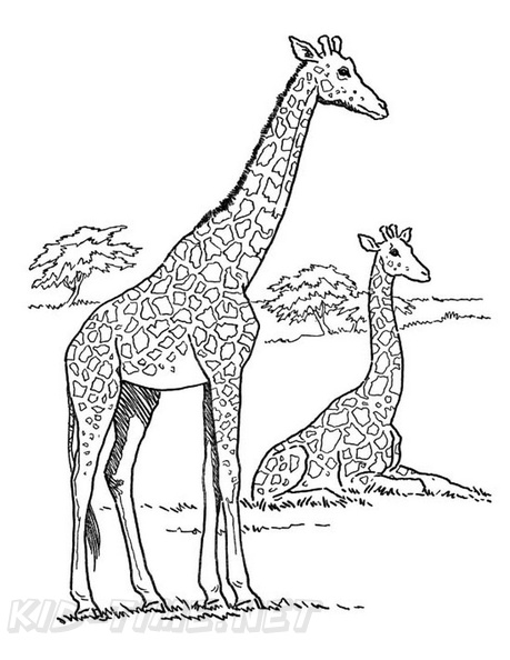 Baby_Giraffe_Coloring_Pages_005.jpg