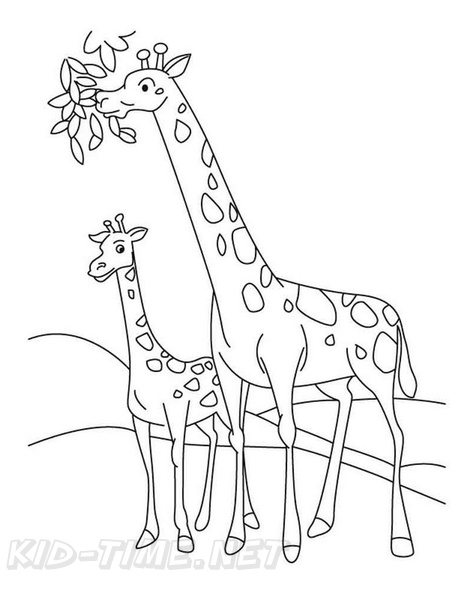 Baby Giraffe Coloring Book Pages Free Coloring Book Pages