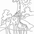 Baby_Giraffe_Coloring_Pages_028.jpg