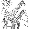 Baby_Giraffe_Coloring_Pages_034.jpg