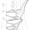 Baby_Giraffe_Coloring_Pages_039.jpg