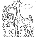 Giraffe_Coloring_Pages_057.jpg