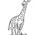 Giraffe_Coloring_Pages_067.jpg