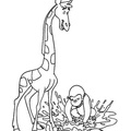 Giraffe_Coloring_Pages_079.jpg