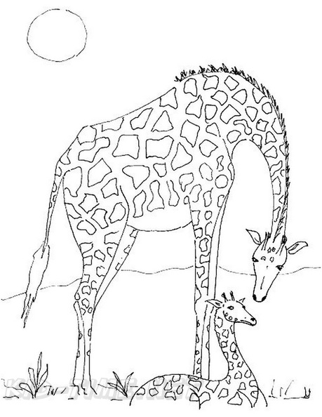 Giraffe_Coloring_Pages_163.jpg