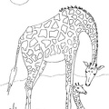 Giraffe_Coloring_Pages_163.jpg