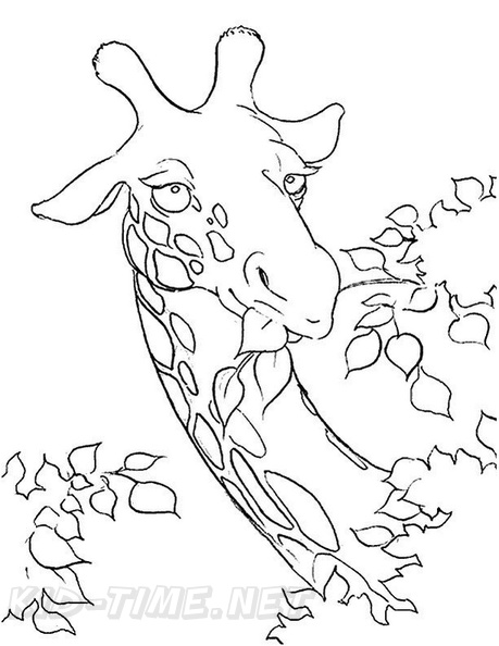 Giraffe_Coloring_Pages_168.jpg