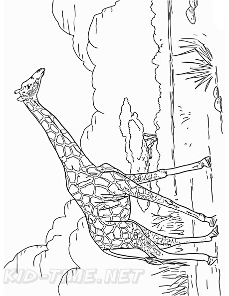Giraffe_Coloring_Pages_182.jpg